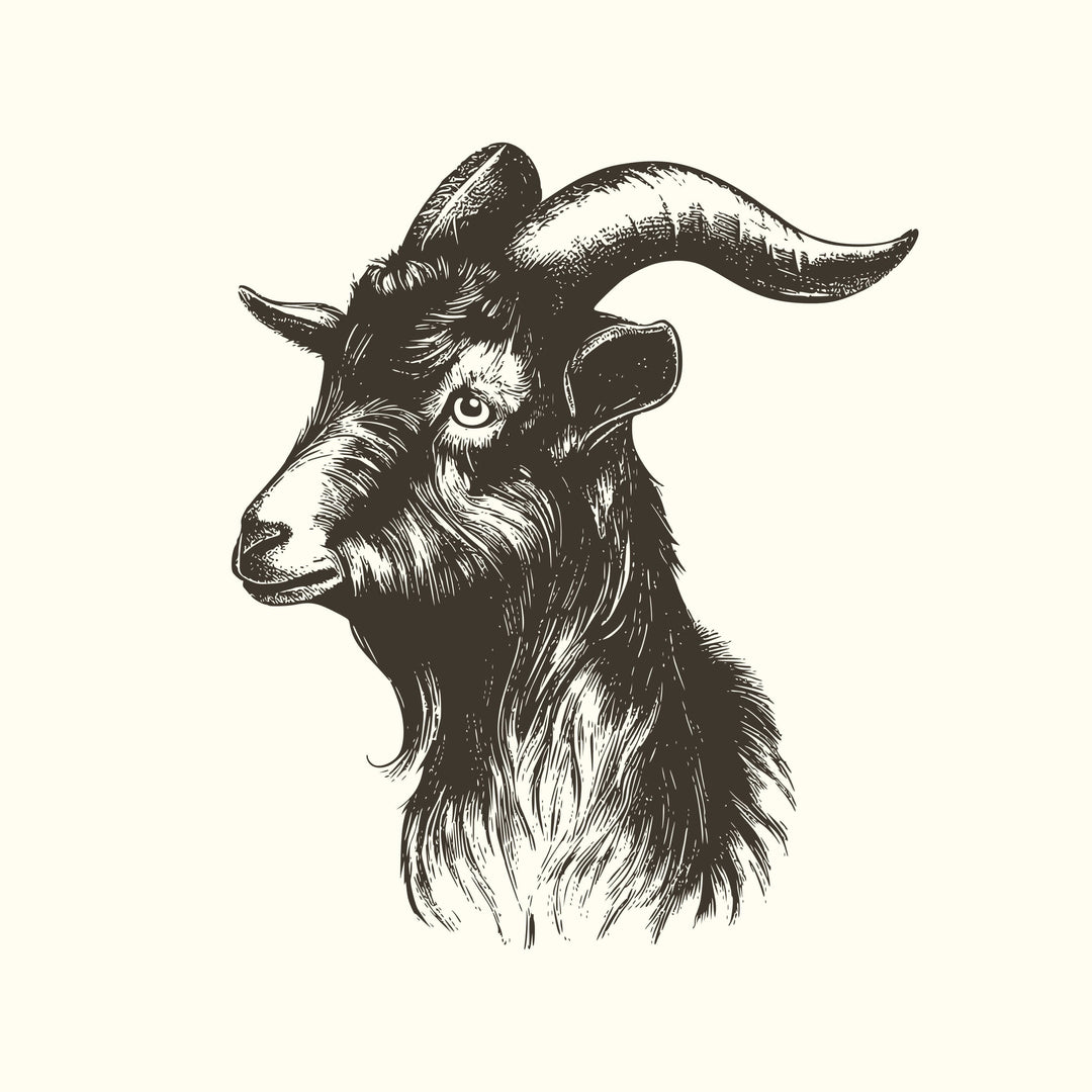 Goat Kaldi Home Roast