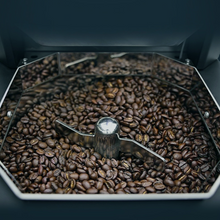 Kafferister Santoker RX1 Home Roast