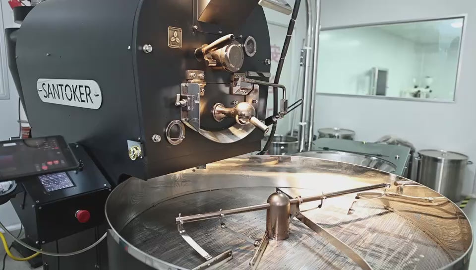 Santoker R12 Master Installation Video hos Home Roast